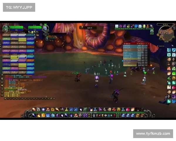 魔兽世界安其拉：掌握伤害之道